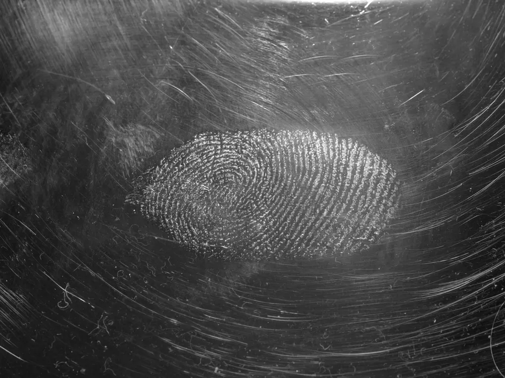 Close-up of a fingerprint